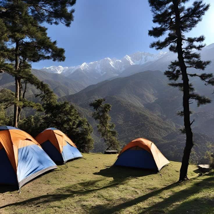Himalayan Meadow Camp