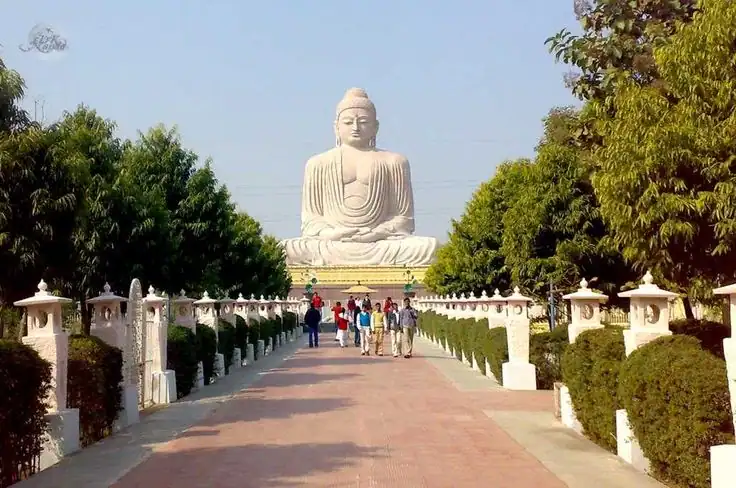 Vipassana Meditation Retreats in India