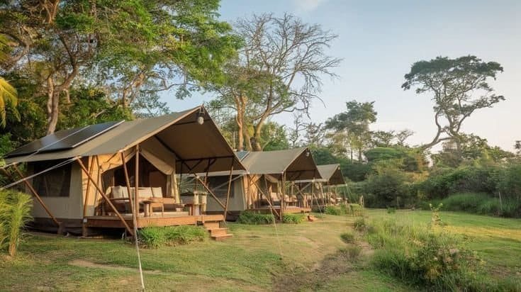 Jungle Canopy Camp in Coorg