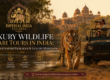 Luxury Wildlife Safari Tours in India