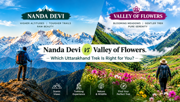 Valley of Flowers trek