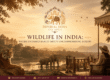 Wildlife in India: Where Untamed Beauty Meets Luxury