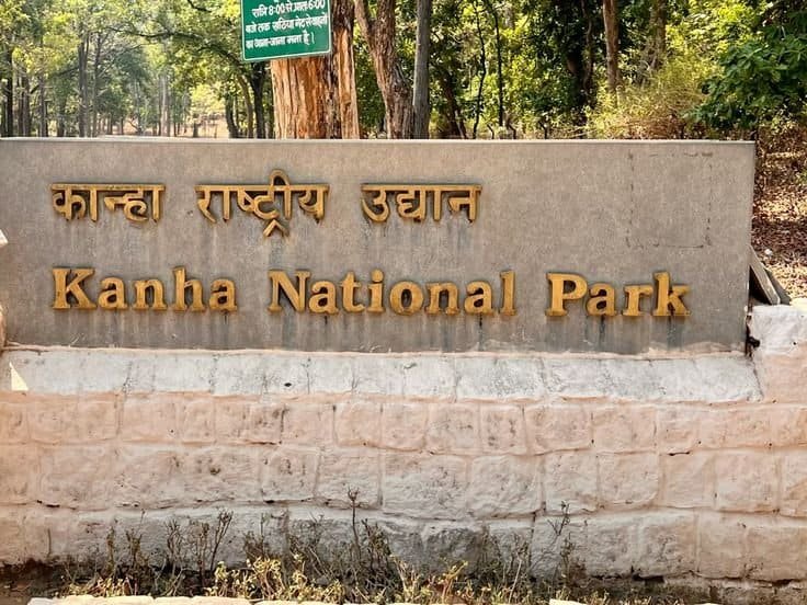 Wildlife in Kanha National Park