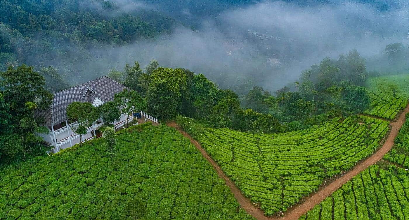 Panoramic view of misty Nilgiri Hills and tea plantations on a Luxury South India Tour
